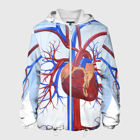 Мужская куртка 3D с принтом Сердце в Белгороде, ткань верха — 100% полиэстер, подклад — флис | прямой крой, подол и капюшон оформлены резинкой с фиксаторами, два кармана без застежек по бокам, один большой потайной карман на груди. Карман на груди застегивается на липучку | нервная система | органы | сердце | сосуды | строение человека