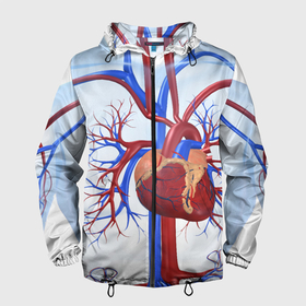 Мужская ветровка 3D с принтом Сердце в Белгороде, 100% полиэстер | подол и капюшон оформлены резинкой с фиксаторами, два кармана без застежек по бокам, один потайной карман на груди | нервная система | органы | сердце | сосуды | строение человека