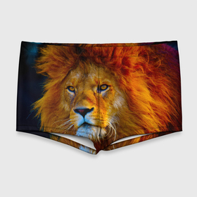 Мужские купальные плавки 3D с принтом Лев 3D в Курске, Полиэстер 85%, Спандекс 15% |  | Тематика изображения на принте: leon king | голова льва | король лев | лев | симба | хищник