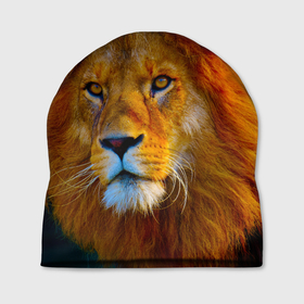 Шапка 3D с принтом Лев 3D в Кировске, 100% полиэстер | универсальный размер, печать по всей поверхности изделия | leon king | голова льва | король лев | лев | симба | хищник