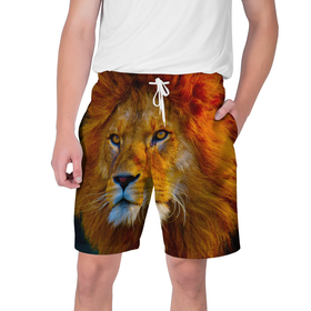 Мужские шорты 3D с принтом Лев 3D ,  полиэстер 100% | прямой крой, два кармана без застежек по бокам. Мягкая трикотажная резинка на поясе, внутри которой широкие завязки. Длина чуть выше колен | leon king | голова льва | король лев | лев | симба | хищник