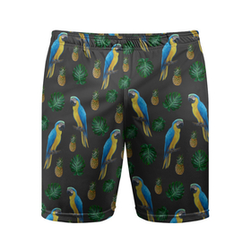 Мужские шорты спортивные с принтом Попугай Ара ,  |  | ананас | ара | девушкам | животные | летнее | парням | пляжное | попугаи | природа | птицы | студентам | тропический лист | яркое