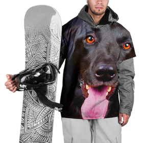Накидка на куртку 3D с принтом Собака 3D в Екатеринбурге, 100% полиэстер |  | дог | животные | лабрадор | пес | собака