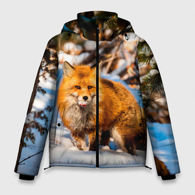 Мужская зимняя куртка 3D с принтом Лиса в лесу в Петрозаводске, верх — 100% полиэстер; подкладка — 100% полиэстер; утеплитель — 100% полиэстер | длина ниже бедра, свободный силуэт Оверсайз. Есть воротник-стойка, отстегивающийся капюшон и ветрозащитная планка. 

Боковые карманы с листочкой на кнопках и внутренний карман на молнии. | Тематика изображения на принте: fox | foxy | животные | звери | зима | зимняя | лиса | лисичка | лисы | природа | снег | снежная