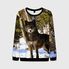 Мужской свитшот 3D с принтом Волк и снег в Новосибирске, 100% полиэстер с мягким внутренним слоем | круглый вырез горловины, мягкая резинка на манжетах и поясе, свободная посадка по фигуре | wolf | wolfs | волк | волки | волчара | животные | звири | зима | лес | природа | снег