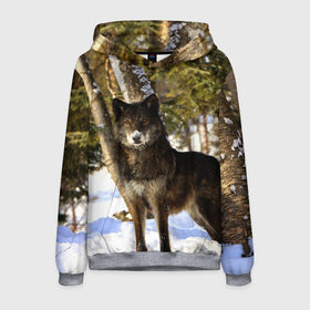 Мужская толстовка 3D с принтом Волк и снег в Санкт-Петербурге, 100% полиэстер | двухслойный капюшон со шнурком для регулировки, мягкие манжеты на рукавах и по низу толстовки, спереди карман-кенгуру с мягким внутренним слоем. | wolf | wolfs | волк | волки | волчара | животные | звири | зима | лес | природа | снег