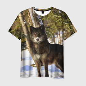 Мужская футболка 3D с принтом Волк и снег в Тюмени, 100% полиэфир | прямой крой, круглый вырез горловины, длина до линии бедер | wolf | wolfs | волк | волки | волчара | животные | звири | зима | лес | природа | снег