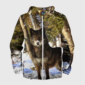 Мужская ветровка 3D с принтом Волк и снег в Белгороде, 100% полиэстер | подол и капюшон оформлены резинкой с фиксаторами, два кармана без застежек по бокам, один потайной карман на груди | wolf | wolfs | волк | волки | волчара | животные | звири | зима | лес | природа | снег