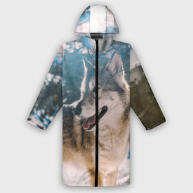 Дождевик унисекс 3D с принтом Волк и снег в городе Новоалтайск,  |  | wolf | wolfs | волк | волки | волчара | животные | звери | зима | лес | природа | снег