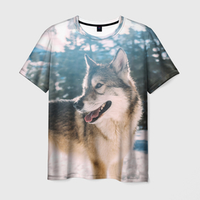 Мужская футболка 3D с принтом Волк и снег в Тюмени, 100% полиэфир | прямой крой, круглый вырез горловины, длина до линии бедер | wolf | wolfs | волк | волки | волчара | животные | звери | зима | лес | природа | снег