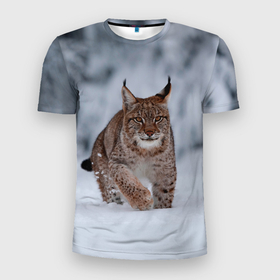 Мужская футболка 3D спортивная с принтом Рысь в Кировске, 100% полиэстер с улучшенными характеристиками | приталенный силуэт, круглая горловина, широкие плечи, сужается к линии бедра | cat | животные | звири | кис | киска | кот | котейка | котик | коты | котяра | кошка | кошки | природа | рысь