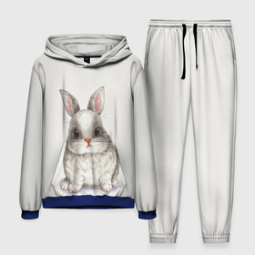 Мужской костюм 3D (с толстовкой) с принтом зайка в Курске,  |  | животные | зайка | заяц | звери | зевающий кот | кися | кот | котенок | котики | коты | кричащий кот | кролик | минимализм | питомцы | прикольные картинки