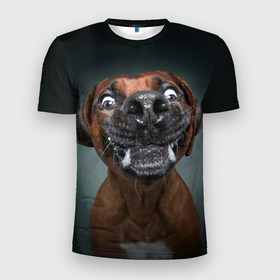 Мужская футболка 3D Slim с принтом Это всё мне в Санкт-Петербурге, 100% полиэстер с улучшенными характеристиками | приталенный силуэт, круглая горловина, широкие плечи, сужается к линии бедра | dog | зубы | лапы | мем | пес | прикол | слюни | смешные животные | собака | собачка | щенок | это всё мне | юмор | язык