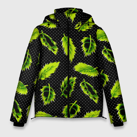 Мужская зимняя куртка 3D с принтом Зеленые листья в Новосибирске, верх — 100% полиэстер; подкладка — 100% полиэстер; утеплитель — 100% полиэстер | длина ниже бедра, свободный силуэт Оверсайз. Есть воротник-стойка, отстегивающийся капюшон и ветрозащитная планка. 

Боковые карманы с листочкой на кнопках и внутренний карман на молнии. | defoliation | foliage | leaves | retro | зеленые листья | зелень | лето | листопад | листья | листья деревьев | ночь | паттерн | ретро