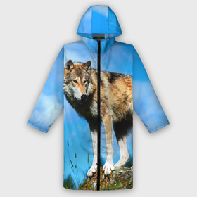 Дождевик унисекс 3D с принтом Волк в городе Новоалтайск,  |  | wolf | wolfs | волк | волки | волчара | животные | звери | лес | природа