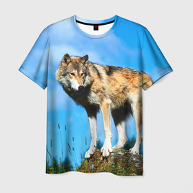 Мужская футболка 3D с принтом Волк в Тюмени, 100% полиэфир | прямой крой, круглый вырез горловины, длина до линии бедер | wolf | wolfs | волк | волки | волчара | животные | звери | лес | природа