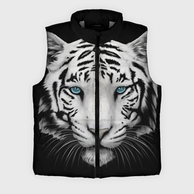 Мужской жилет утепленный 3D с принтом Белый тигр в Петрозаводске,  |  | белый тигр | крупный тигр | крупным планом | с голубыми глазами | тигры