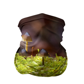 Бандана-труба 3D с принтом Мох в Петрозаводске, 100% полиэстер, ткань с особыми свойствами — Activecool | плотность 150‒180 г/м2; хорошо тянется, но сохраняет форму | Тематика изображения на принте: гриб | грибы | дерево | деревья | зелёные | зелёный | зелень | лес | леса | лесной | мох | мхи | пенёк | пеньки | пни | поганка | поганки | природа | природный | флора