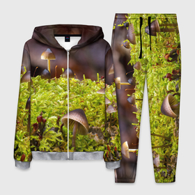 Мужской костюм 3D с принтом Мох в Новосибирске, 100% полиэстер | Манжеты и пояс оформлены тканевой резинкой, двухслойный капюшон со шнурком для регулировки, карманы спереди | Тематика изображения на принте: гриб | грибы | дерево | деревья | зелёные | зелёный | зелень | лес | леса | лесной | мох | мхи | пенёк | пеньки | пни | поганка | поганки | природа | природный | флора