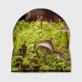 Шапка 3D с принтом Мох в Кировске, 100% полиэстер | универсальный размер, печать по всей поверхности изделия | гриб | грибы | дерево | деревья | зелёные | зелёный | зелень | лес | леса | лесной | мох | мхи | пенёк | пеньки | пни | поганка | поганки | природа | природный | флора