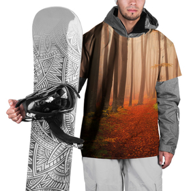 Накидка на куртку 3D с принтом Осенний лес в Санкт-Петербурге, 100% полиэстер |  | деревья | лес | листва | осенний лес | осень | природа