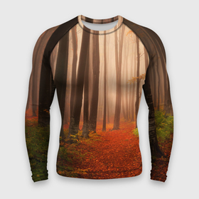 Мужской рашгард 3D с принтом Осенний лес в Екатеринбурге,  |  | деревья | лес | листва | осенний лес | осень | природа