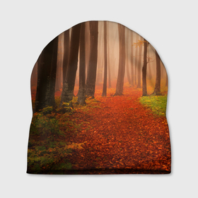 Шапка 3D с принтом Осенний лес в Белгороде, 100% полиэстер | универсальный размер, печать по всей поверхности изделия | деревья | лес | листва | осенний лес | осень | природа