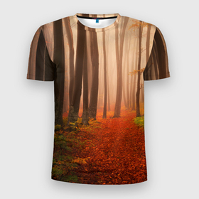 Мужская футболка 3D спортивная с принтом Осенний лес , 100% полиэстер с улучшенными характеристиками | приталенный силуэт, круглая горловина, широкие плечи, сужается к линии бедра | деревья | лес | листва | осенний лес | осень | природа