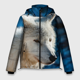 Мужская зимняя куртка 3D с принтом Северный волк в Тюмени, верх — 100% полиэстер; подкладка — 100% полиэстер; утеплитель — 100% полиэстер | длина ниже бедра, свободный силуэт Оверсайз. Есть воротник-стойка, отстегивающийся капюшон и ветрозащитная планка. 

Боковые карманы с листочкой на кнопках и внутренний карман на молнии. | wolf | wolfs | волк | волки | волчара | животные | звери | лес | природа