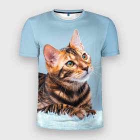 Мужская футболка 3D Slim с принтом Бенгальский кот в Белгороде, 100% полиэстер с улучшенными характеристиками | приталенный силуэт, круглая горловина, широкие плечи, сужается к линии бедра | Тематика изображения на принте: cat | животные | звири | кис | киска | кот | котейка | котик | коты | котяра | кошка | кошки | природа