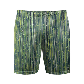 Мужские шорты спортивные с принтом Зеленый бамбук в Кировске,  |  | bamboo | forest | stripes | бамбук | заросли | лес | листья | полосы | растения