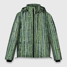 Мужская зимняя куртка 3D с принтом Зеленый бамбук в Тюмени, верх — 100% полиэстер; подкладка — 100% полиэстер; утеплитель — 100% полиэстер | длина ниже бедра, свободный силуэт Оверсайз. Есть воротник-стойка, отстегивающийся капюшон и ветрозащитная планка. 

Боковые карманы с листочкой на кнопках и внутренний карман на молнии. | bamboo | forest | stripes | бамбук | заросли | лес | листья | полосы | растения
