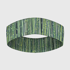 Повязка на голову 3D с принтом Зеленый бамбук в Петрозаводске,  |  | bamboo | forest | stripes | бамбук | заросли | лес | листья | полосы | растения