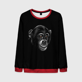 Мужской свитшот 3D с принтом Обезьяна в Санкт-Петербурге, 100% полиэстер с мягким внутренним слоем | круглый вырез горловины, мягкая резинка на манжетах и поясе, свободная посадка по фигуре | животные | обезьяна | обезьяны | приматы | шимпанзе