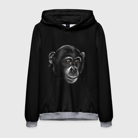 Мужская толстовка 3D с принтом Обезьяна в Екатеринбурге, 100% полиэстер | двухслойный капюшон со шнурком для регулировки, мягкие манжеты на рукавах и по низу толстовки, спереди карман-кенгуру с мягким внутренним слоем. | животные | обезьяна | обезьяны | приматы | шимпанзе