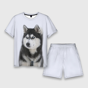 Мужской костюм с шортами 3D с принтом ХАСКИ ,  |  | dog | husky | милый | пес | песик | собака | собачка | хаски | щенок