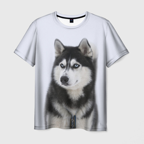 Мужская футболка 3D с принтом ХАСКИ , 100% полиэфир | прямой крой, круглый вырез горловины, длина до линии бедер | dog | husky | милый | пес | песик | собака | собачка | хаски | щенок