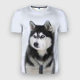 Мужская футболка 3D спортивная с принтом ХАСКИ в Петрозаводске, 100% полиэстер с улучшенными характеристиками | приталенный силуэт, круглая горловина, широкие плечи, сужается к линии бедра | Тематика изображения на принте: dog | husky | милый | пес | песик | собака | собачка | хаски | щенок