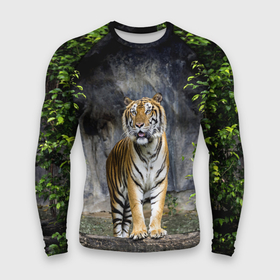 Мужской рашгард 3D с принтом ТИГР В ЛЕСУ ,  |  | tiger | амурский | бенгальский | в зоопарке | в лесу | дикий | кошка | крупная | полосатый | тигр | тигренок | тигрица