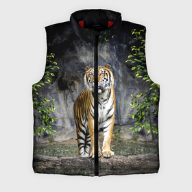 Мужской жилет утепленный 3D с принтом ТИГР В ЛЕСУ в Курске,  |  | tiger | амурский | бенгальский | в зоопарке | в лесу | дикий | кошка | крупная | полосатый | тигр | тигренок | тигрица