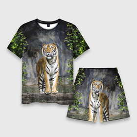 Мужской костюм с шортами 3D с принтом ТИГР В ЛЕСУ в Кировске,  |  | tiger | амурский | бенгальский | в зоопарке | в лесу | дикий | кошка | крупная | полосатый | тигр | тигренок | тигрица