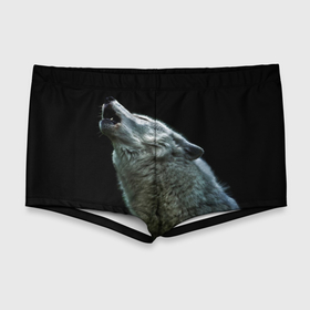 Мужские купальные плавки 3D с принтом Воющий волк  в Санкт-Петербурге, Полиэстер 85%, Спандекс 15% |  | Тематика изображения на принте: ауф | волк | воющий волк | животное | зверь