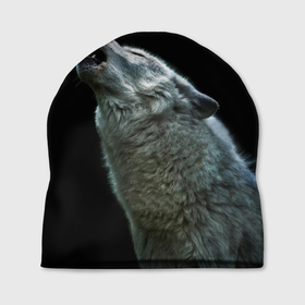 Шапка 3D с принтом Воющий волк в Тюмени, 100% полиэстер | универсальный размер, печать по всей поверхности изделия | ауф | волк | воющий волк | животное | зверь