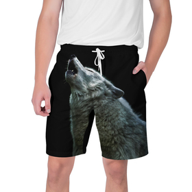Мужские шорты 3D с принтом Воющий волк в Тюмени,  полиэстер 100% | прямой крой, два кармана без застежек по бокам. Мягкая трикотажная резинка на поясе, внутри которой широкие завязки. Длина чуть выше колен | ауф | волк | воющий волк | животное | зверь