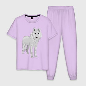 Мужская пижама хлопок с принтом Белый волк в Екатеринбурге, 100% хлопок | брюки и футболка прямого кроя, без карманов, на брюках мягкая резинка на поясе и по низу штанин
 | белый | волк | зимний | собака | хищник