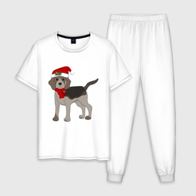 Мужская пижама хлопок с принтом Новогодний Бигль в Петрозаводске, 100% хлопок | брюки и футболка прямого кроя, без карманов, на брюках мягкая резинка на поясе и по низу штанин
 | 2021 | бигль | зима | зимняя собака | милый | нарядная собака | новогодний щенок | новый год | подарок | собака | собака в шапке | шарф | щенок | щенок с шарфом