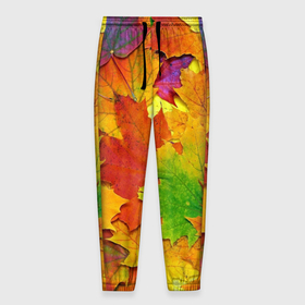 Мужские брюки 3D с принтом Осенние листья , 100% полиэстер | манжеты по низу, эластичный пояс регулируется шнурком, по бокам два кармана без застежек, внутренняя часть кармана из мелкой сетки | клён | краски | листья | осень | радуга | разноцветный | яркая