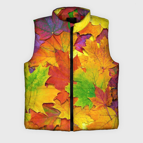 Мужской жилет утепленный 3D с принтом Осенние листья в Белгороде,  |  | клён | краски | листья | осень | радуга | разноцветный | яркая