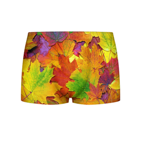 Мужские трусы 3D с принтом Осенние листья , 50% хлопок, 50% полиэстер | классическая посадка, на поясе мягкая тканевая резинка | Тематика изображения на принте: клён | краски | листья | осень | радуга | разноцветный | яркая