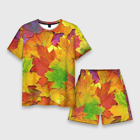 Мужской костюм с шортами 3D с принтом Осенние листья в Екатеринбурге,  |  | Тематика изображения на принте: клён | краски | листья | осень | радуга | разноцветный | яркая